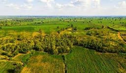 Land & Plots for Sale