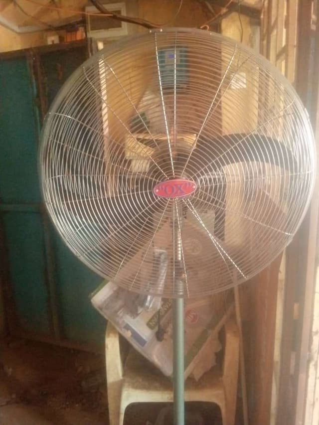Ox Fan for sale